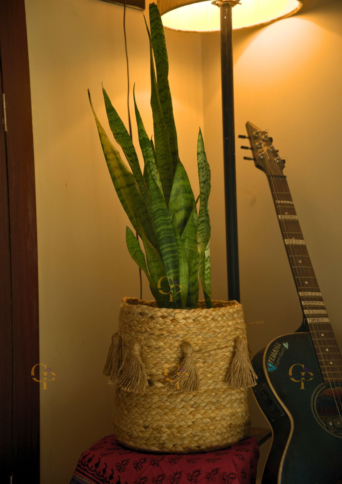 Jute Planter