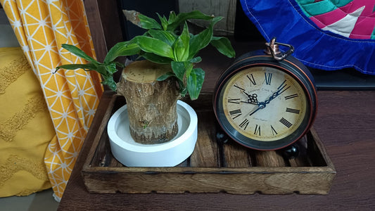 Solid Wood Tray